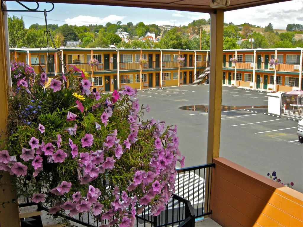 Americas Best Value Inn - Pendleton Esterno foto